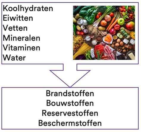 omega 6 voedingsstoffen